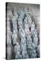 Terra Cotta Soldiers in Qin Shi Huangdi Tomb-null-Stretched Canvas