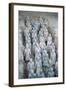 Terra Cotta Soldiers in Qin Shi Huangdi Tomb-null-Framed Photographic Print