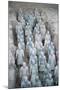 Terra Cotta Soldiers in Qin Shi Huangdi Tomb-null-Mounted Photographic Print