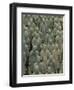 Terra Cotta Warriors and Horses Dig, Xi'an, Shaanxi Province, China-Pete Oxford-Framed Photographic Print