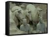 Terra Cotta Warriors and Horses Dig, Xi'an, Shaanxi Province, China-Pete Oxford-Framed Stretched Canvas