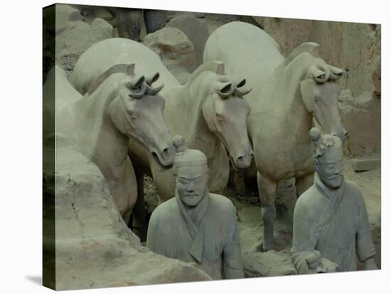 Terra Cotta Warriors and Horses Dig, Xi'an, Shaanxi Province, China-Pete Oxford-Stretched Canvas