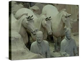 Terra Cotta Warriors and Horses Dig, Xi'an, Shaanxi Province, China-Pete Oxford-Stretched Canvas