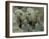 Terra Cotta Warriors and Horses Dig, Xi'an, Shaanxi Province, China-Pete Oxford-Framed Premium Photographic Print