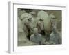 Terra Cotta Warriors and Horses Dig, Xi'an, Shaanxi Province, China-Pete Oxford-Framed Premium Photographic Print