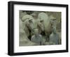 Terra Cotta Warriors and Horses Dig, Xi'an, Shaanxi Province, China-Pete Oxford-Framed Photographic Print