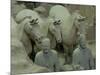 Terra Cotta Warriors and Horses Dig, Xi'an, Shaanxi Province, China-Pete Oxford-Mounted Photographic Print