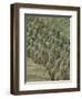 Terra Cotta Warriors and Horses Dig, Xi'an, Shaanxi Province, China-Pete Oxford-Framed Photographic Print