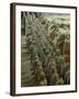 Terra Cotta Warriors and Horses Dig, Xi'an, Shaanxi Province, China-Pete Oxford-Framed Photographic Print