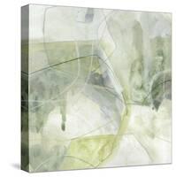 Terra Forma III-June Vess-Stretched Canvas