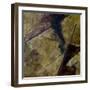 Terra I-Herb Dickinson-Framed Photographic Print