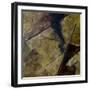 Terra I-Herb Dickinson-Framed Photographic Print