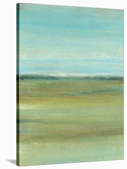 Terra Verde I-Tim OToole-Stretched Canvas