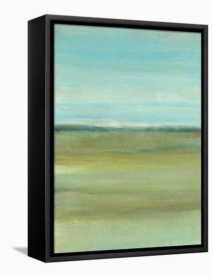 Terra Verde I-Tim OToole-Framed Stretched Canvas