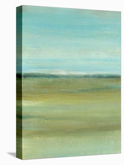 Terra Verde I-Tim OToole-Stretched Canvas