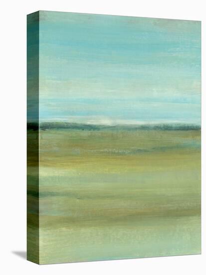 Terra Verde I-Tim OToole-Stretched Canvas