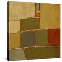 Terra Verde II-Lanie Loreth-Stretched Canvas