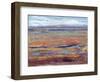 Terra Vista IV-Tim OToole-Framed Art Print