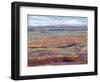 Terra Vista IV-Tim OToole-Framed Art Print