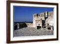 Brown Frame