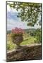 Terrace, Chateau de Pierreclos, Pierreclos, Maconnaise, Burgundy, France-Lisa S. Engelbrecht-Mounted Photographic Print