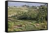 Terrace Farming, Marayoor, Idukki District, Kerala, India, Asia-Balan Madhavan-Framed Stretched Canvas