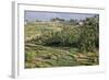 Terrace Farming, Marayoor, Idukki District, Kerala, India, Asia-Balan Madhavan-Framed Photographic Print