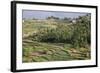 Terrace Farming, Marayoor, Idukki District, Kerala, India, Asia-Balan Madhavan-Framed Photographic Print