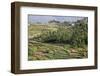 Terrace Farming, Marayoor, Idukki District, Kerala, India, Asia-Balan Madhavan-Framed Photographic Print