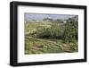 Terrace Farming, Marayoor, Idukki District, Kerala, India, Asia-Balan Madhavan-Framed Photographic Print