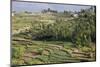 Terrace Farming, Marayoor, Idukki District, Kerala, India, Asia-Balan Madhavan-Mounted Photographic Print