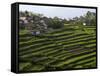 Terrace Fields on Farms, Koviloor, Near Munnar, Kerala, India-Balan Madhavan-Framed Stretched Canvas