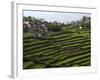 Terrace Fields on Farms, Koviloor, Near Munnar, Kerala, India-Balan Madhavan-Framed Photographic Print