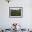 Terrace Fields on Farms, Koviloor, Near Munnar, Kerala, India-Balan Madhavan-Framed Photographic Print displayed on a wall