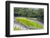 Terrace Garden, Southern Ridges, Singapore, Southeast Asia, Asia-Christian Kober-Framed Photographic Print