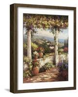 Terrace Hermosa-Andino-Framed Art Print