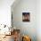 Terrace Houses, Stuart Street, Dunedin, New Zealand-David Wall-Photographic Print displayed on a wall