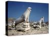 Terrace of the Lions at Delos-Bettmann-Stretched Canvas