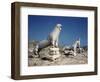 Terrace of the Lions at Delos-Bettmann-Framed Photographic Print