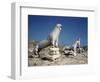 Terrace of the Lions at Delos-Bettmann-Framed Photographic Print