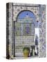 Terrace of the Palais d'Orient, Tunis, Tunisia, North Africa, Africa-Charles Bowman-Stretched Canvas