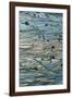 Terrace Reflections II-Peter Adams-Framed Giclee Print