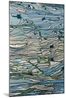 Terrace Reflections II-Peter Adams-Mounted Giclee Print