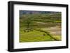 Terrace Rice Fields, Chimi Lhakhang, Bhutan-Michael Runkel-Framed Photographic Print