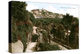 Terrace Walk and Vane Hill, Torquay, Devon, Early 20th Century-Ern Bishop-Stretched Canvas