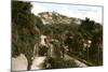 Terrace Walk and Vane Hill, Torquay, Devon, Early 20th Century-Ern Bishop-Mounted Giclee Print