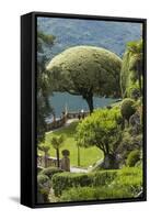 Terrace with Giant Topiary, Villa Barbonella, Lake Como, Lombardy, Italy, Europe-James Emmerson-Framed Stretched Canvas