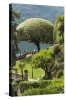 Terrace with Giant Topiary, Villa Barbonella, Lake Como, Lombardy, Italy, Europe-James Emmerson-Stretched Canvas