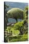 Terrace with Giant Topiary, Villa Barbonella, Lake Como, Lombardy, Italy, Europe-James Emmerson-Stretched Canvas