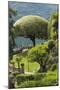 Terrace with Giant Topiary, Villa Barbonella, Lake Como, Lombardy, Italy, Europe-James Emmerson-Mounted Photographic Print